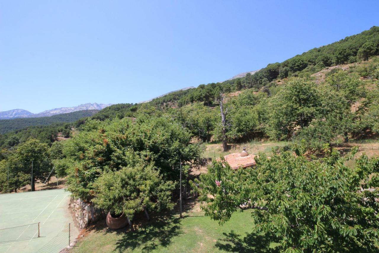 El Pinarejo Villa El Arenal  Eksteriør billede